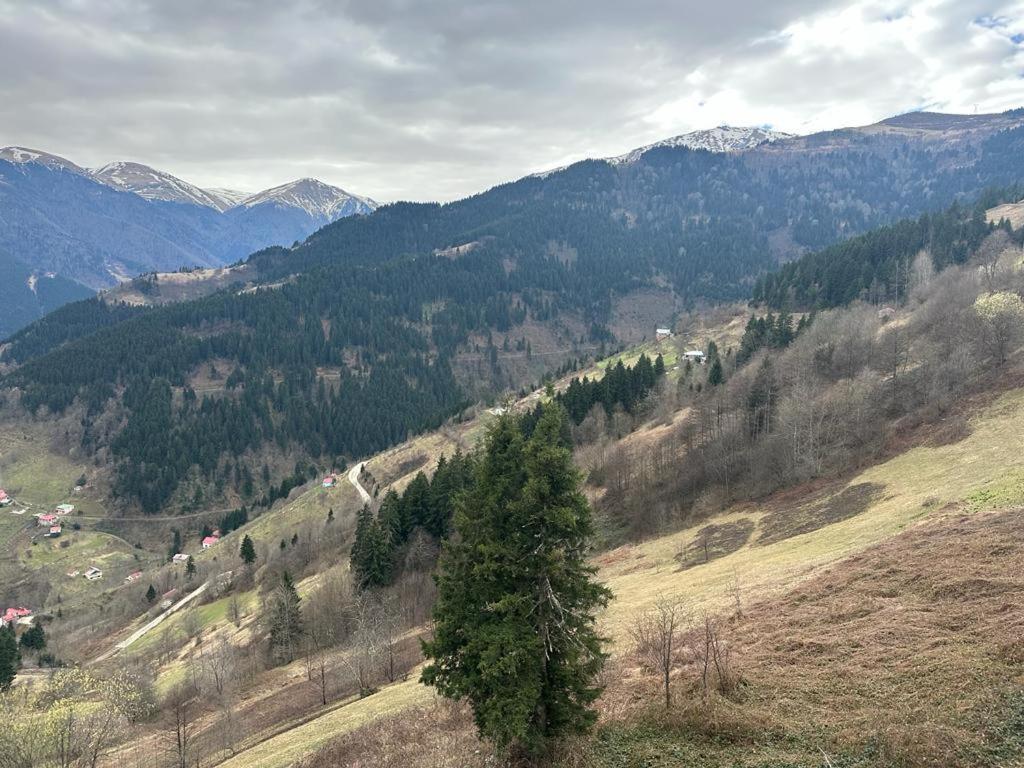 Meseici Butik Hotel Macka Exteriér fotografie